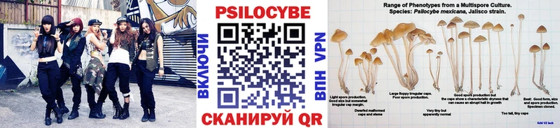 закладка  МЕГА как войти  Галлюциногенные грибы Magic Shrooms  Шуя 