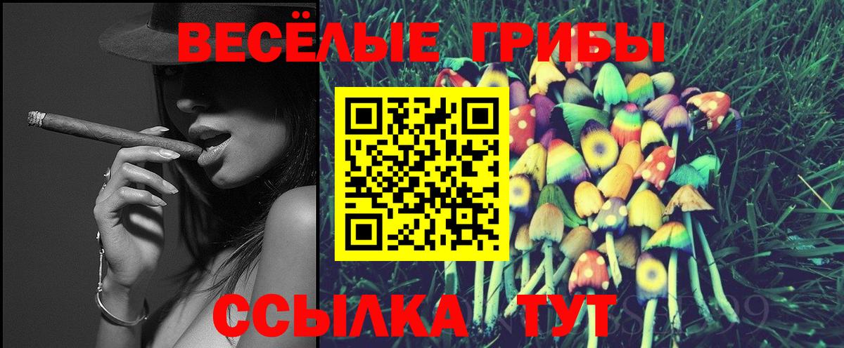 Псилоцибиновые грибы GOLDEN TEACHER  Галлюциногенные грибы прущие грибы  Шуя  Вход с VPN 