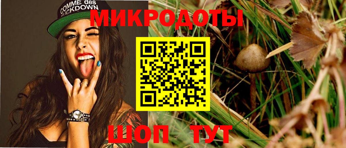 Псилоцибиновые грибы Psilocybe Шуя